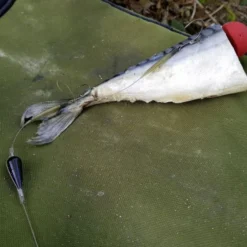 Quantum Mr. Pike Bait Pop Up Kit Red (3pcs) -Vis Drang Verkoopwinkel 22 6240001 3