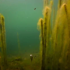 Fox Edges Zig Float Kit -Vis Drang Verkoopwinkel CAC753 7