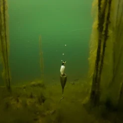 Fox Edges Zig Float Kit -Vis Drang Verkoopwinkel CAC753 8