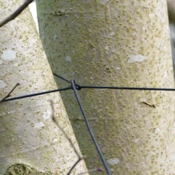 Fox Camo Tarp -Vis Drang Verkoopwinkel CUM290 6