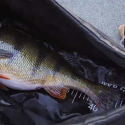 FKP-Gear Perch Station -Vis Drang Verkoopwinkel FKPPERCHSTATION 5